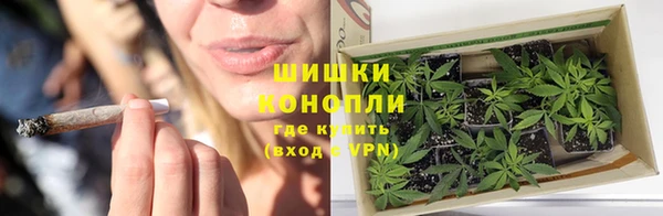 сатива Лиски