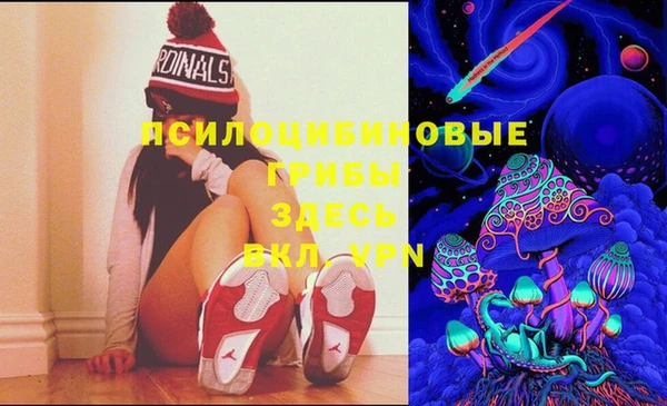 меф Гусь-Хрустальный