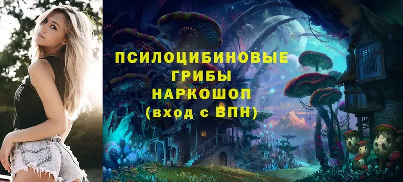 кракен зеркало  Дмитриев  Псилоцибиновые грибы Magic Shrooms 